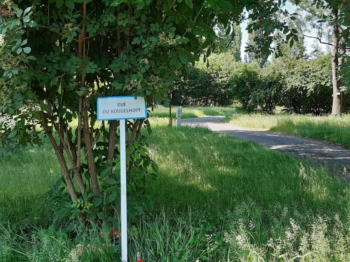 Camping De L'Ill Мюлуз Екстериор снимка